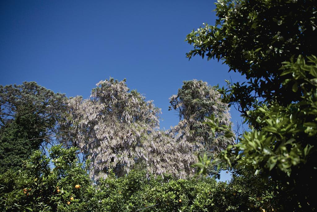 Casa de Férias La Serra - De Bonis