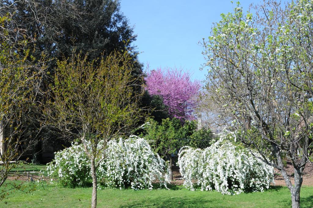 La Serra - De Bonis Vakantiehuis