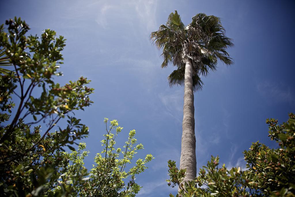 Сasa de vacaciones La Serra - De Bonis