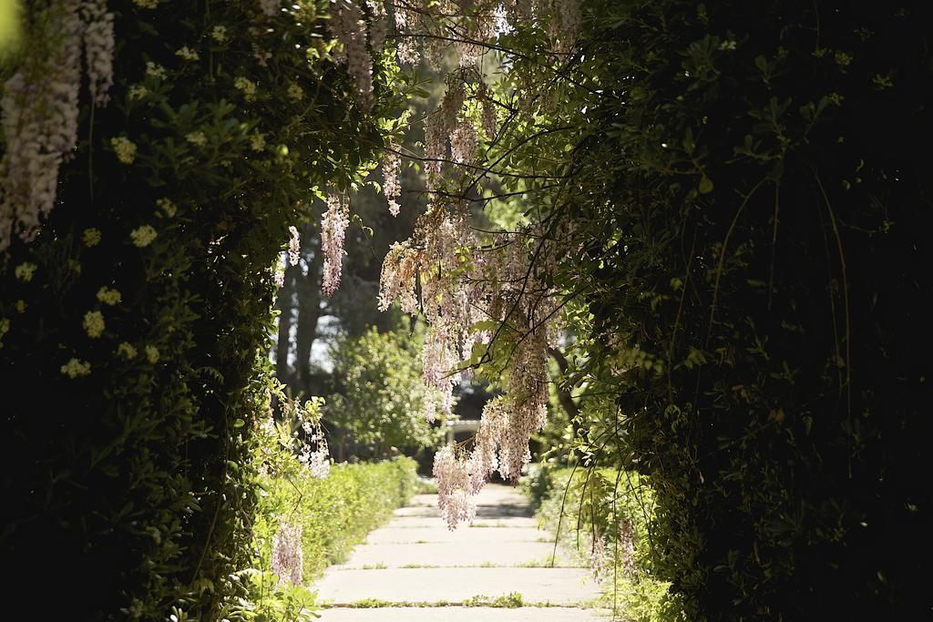 La Serra - De Bonis San Cesario di Lecce